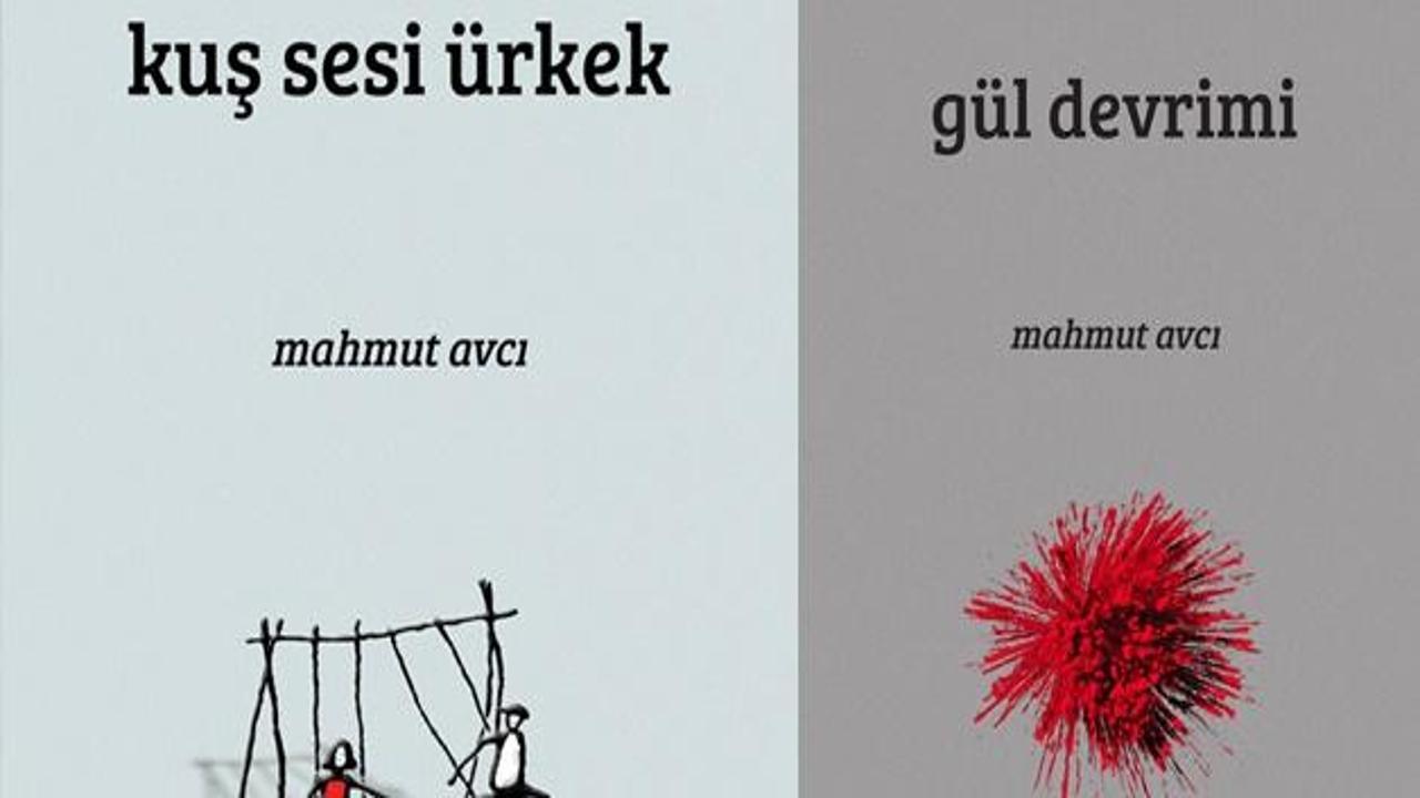 Şair Mahmut Avcı'dan iki yeni şiir kitabı birden