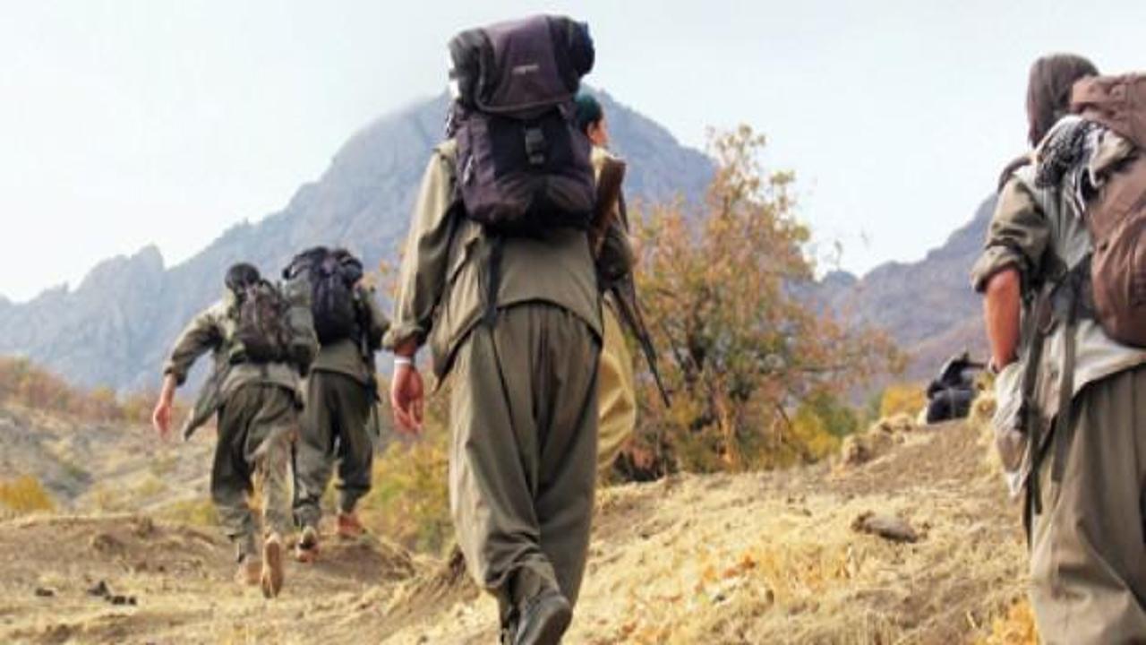 Şırnak'ta 3 PKK'lı teslim oldu
