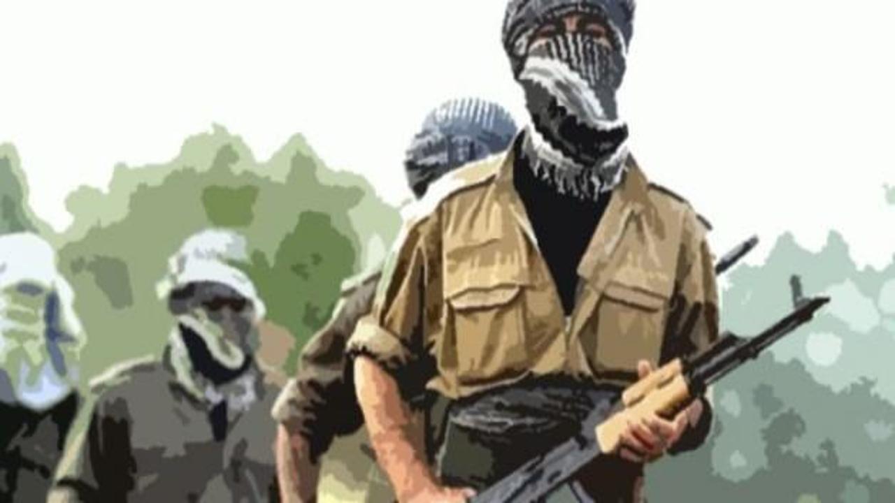 8 PKK'lı daha teslim oldu