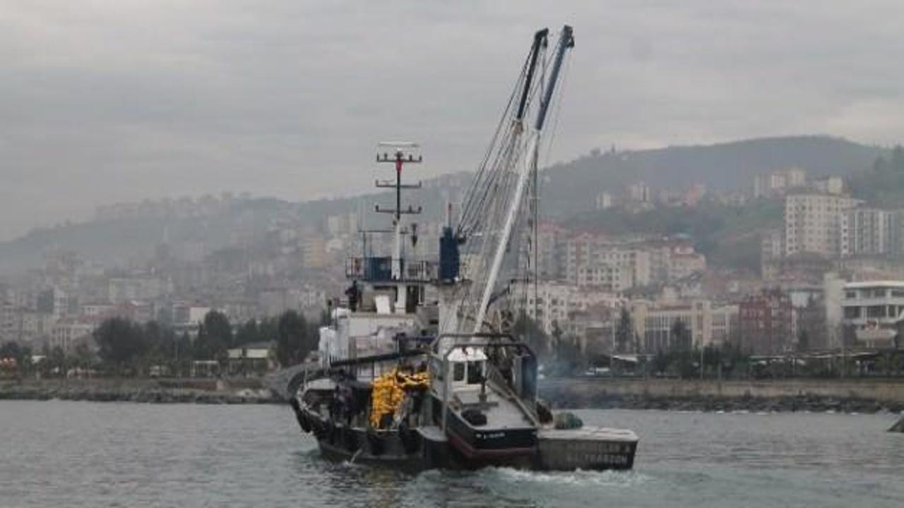 Trabzon'da balıkçılara hamsi şoku