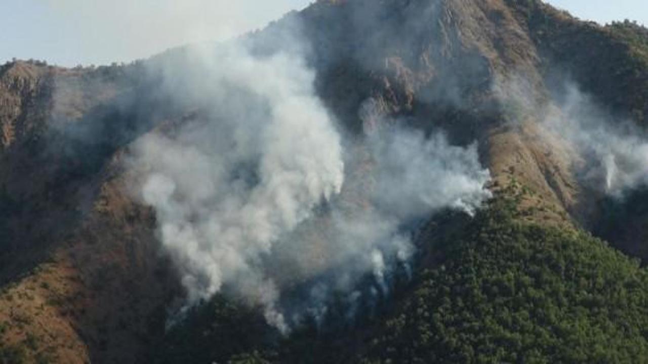 Tunceli'de orman yangını