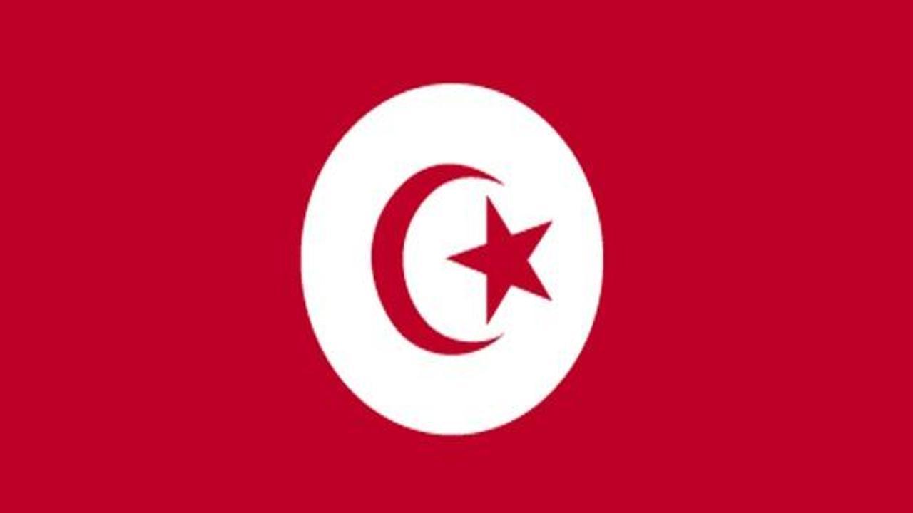 Tunus'ta yeni anayasa kabul edildi