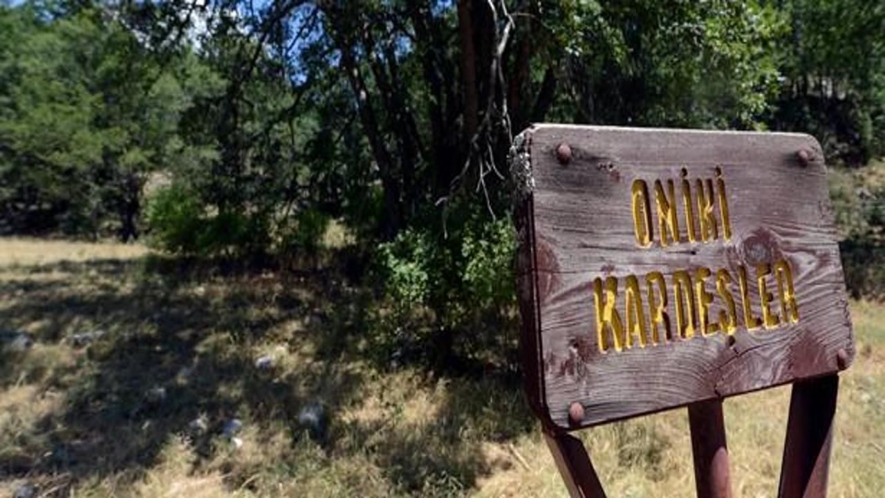 T&uuml;rkiye'deki bu orman d&uuml;nyada tek ama...