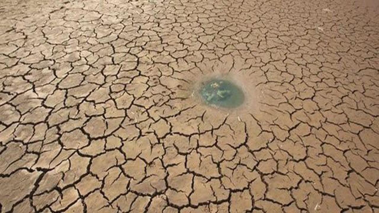 Arap ülkelerinde 'kuraklık' tehlikesi