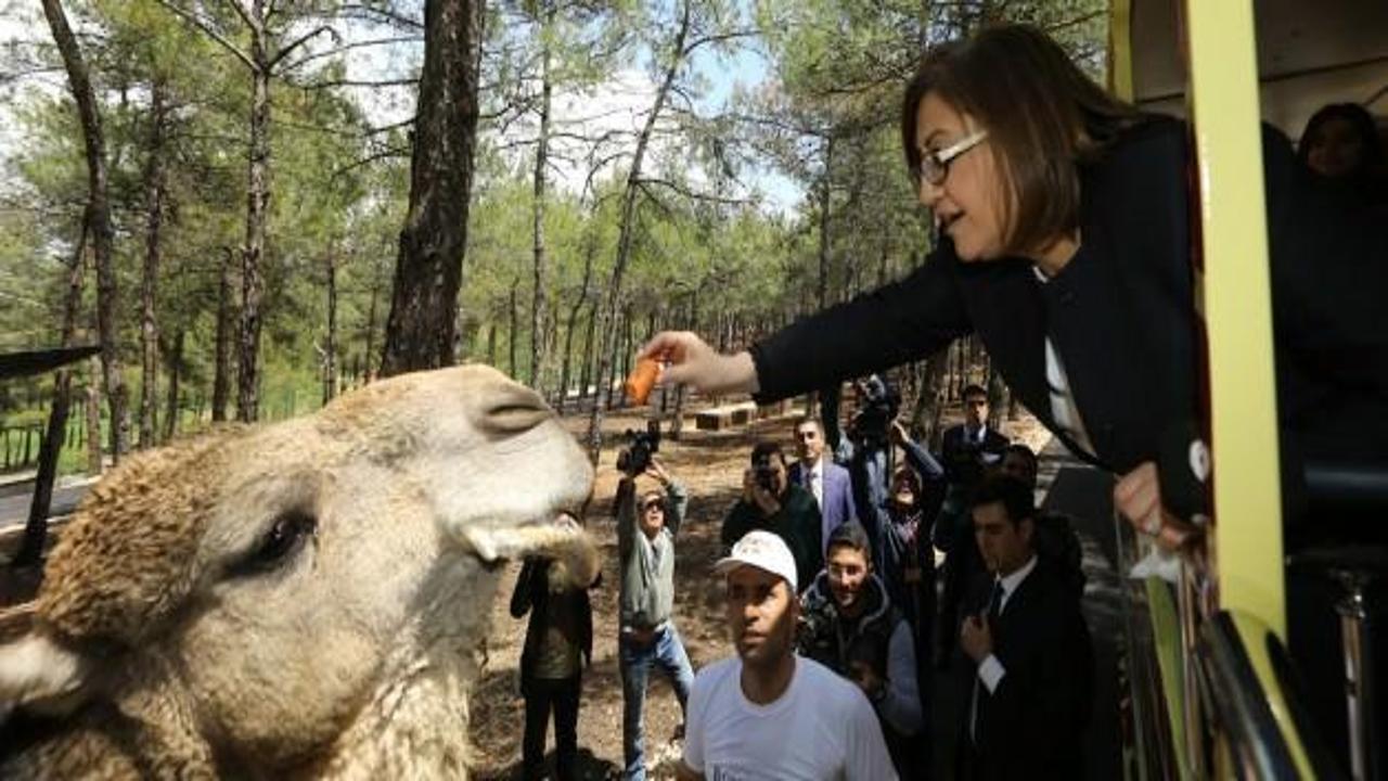 Türkiye'nin ilk safari parkı açıldı