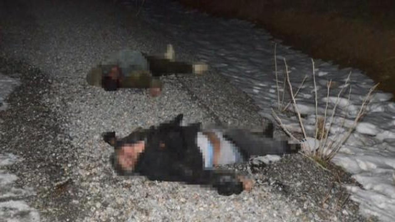 Van'da 2 kaçak donarak öldü
