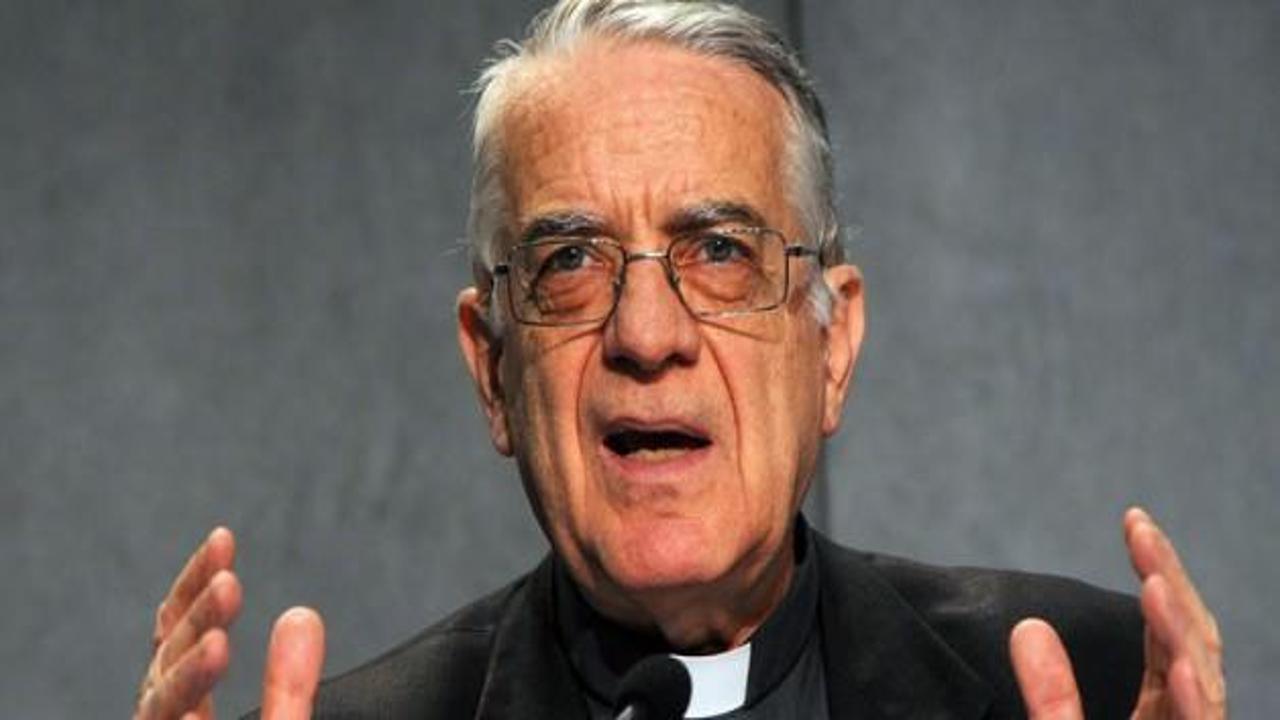 Vatikan Sözcüsü: Papa'nın görevi bu değil