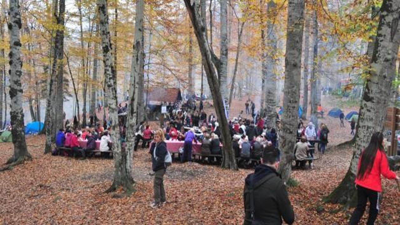 Yedigöller'e hücum ettiler