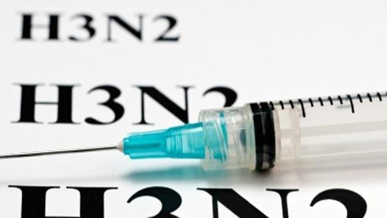 Yeni kabus H3N2'nin ayrıntısı