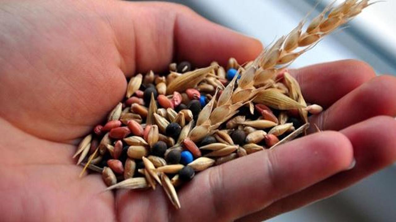 Yerli sertifikalı tohum 1 milyon tona koşuyor