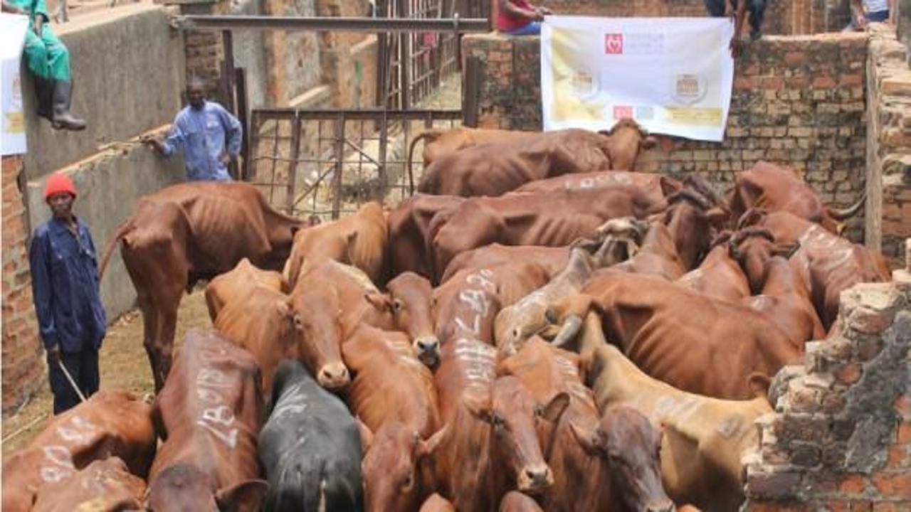 Yeryüzü Doktorları, bayramı Afrika'da geçirdi