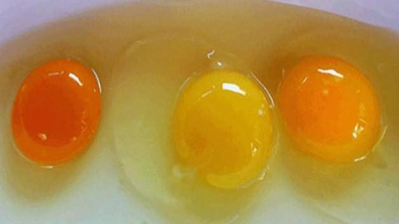 Yumurta sarısı böyleyse dikkat!