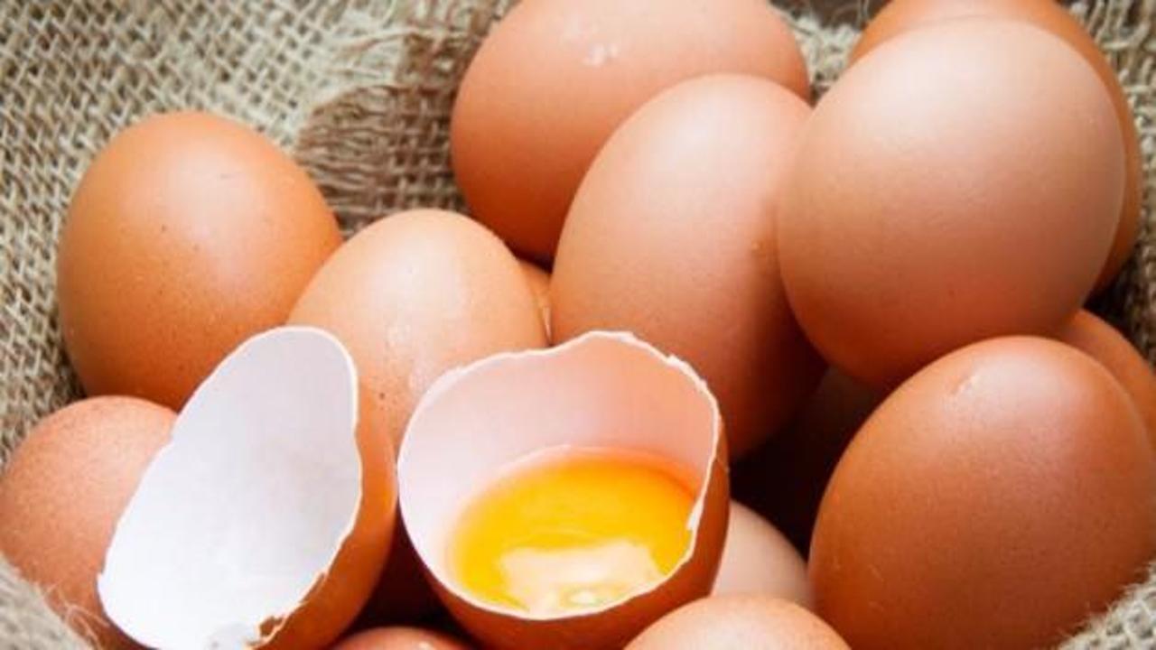 Tavuk eti ve yumurta risk altında mı?