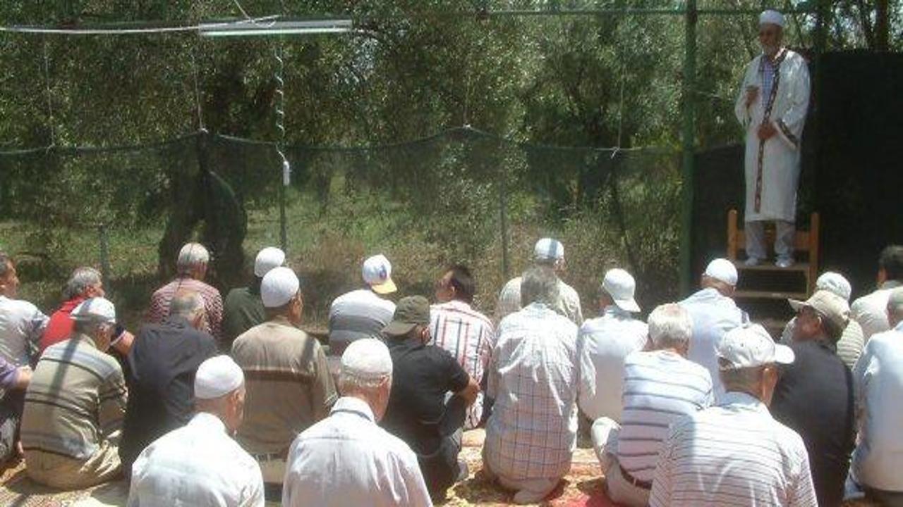 Zeytin tarlasında cuma namazı kılıyorlar