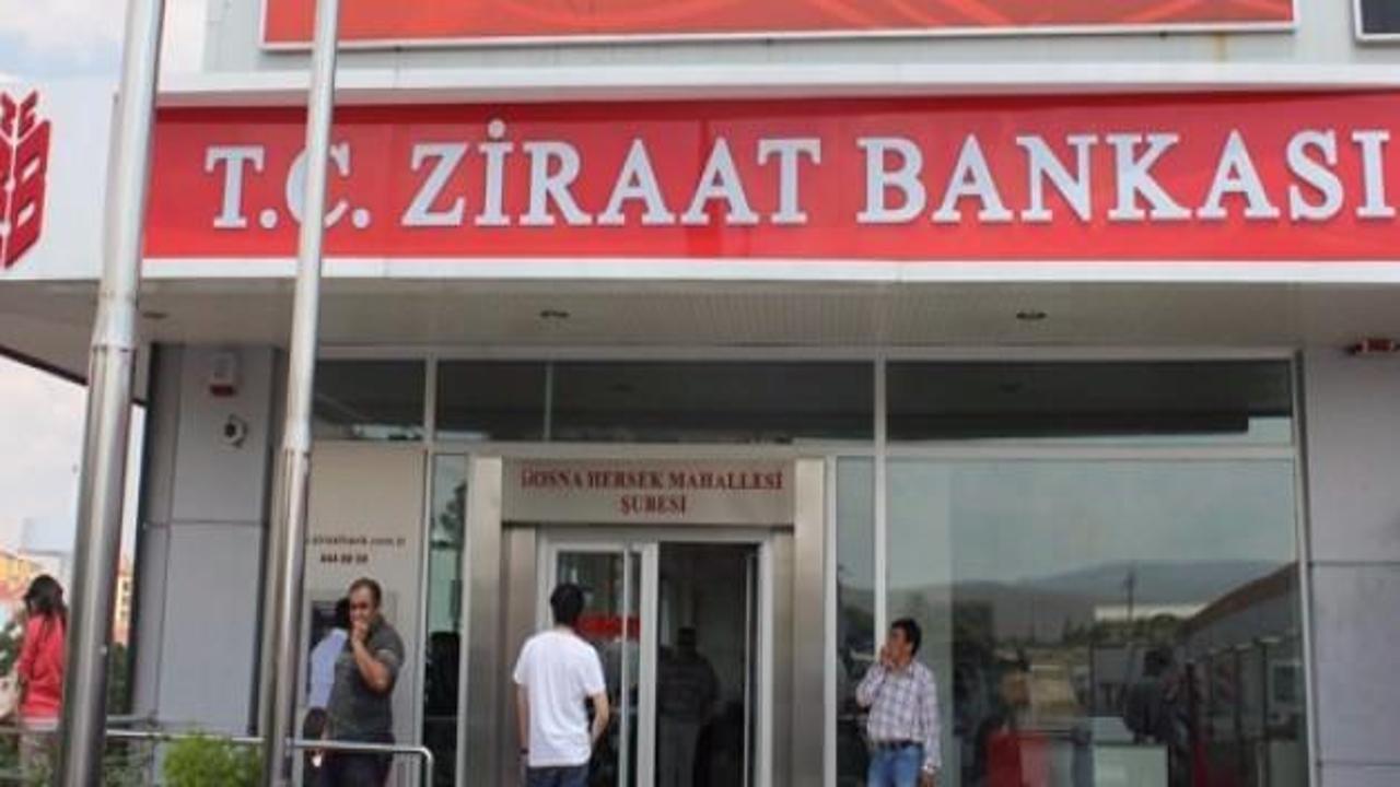 Ziraat, Bosna Hersek'te g&ouml;z&uuml;n&uuml; zirveye dikti