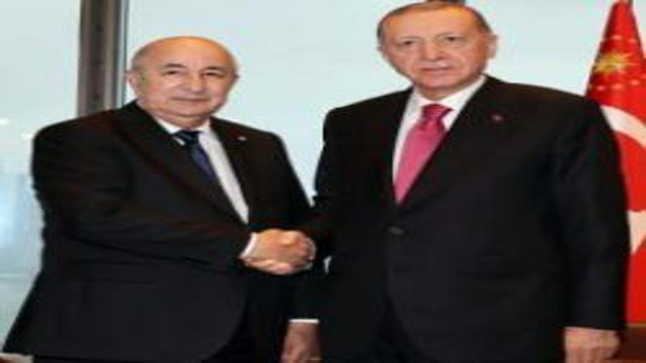 Cumhurbaşkanı Erdoğan Cezayir Cumhurbaşkanı Tebbun ile görüştü