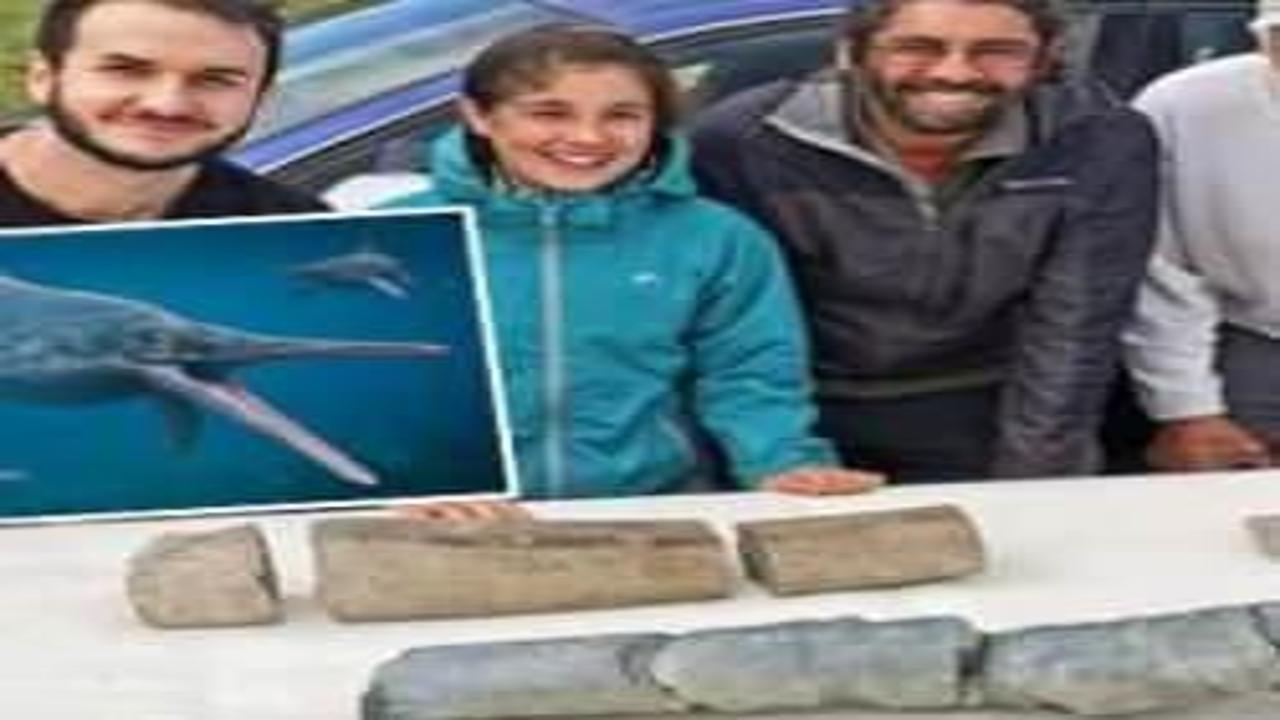 11 yaşındaki kızın bulduğu fosil quot ichthyosaur quot a ait