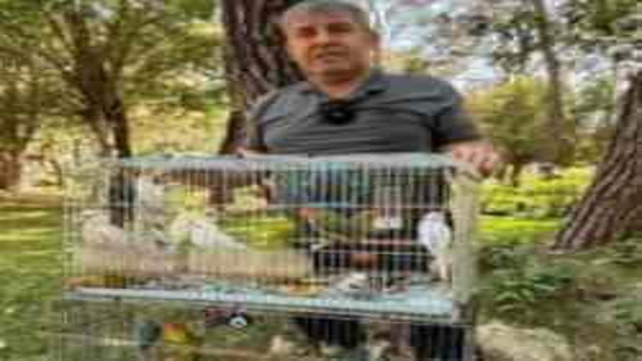 Antalya da papağan operasyonu