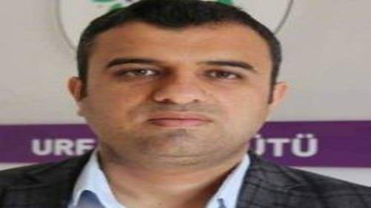 Öcalan'ın milletvekili yeğeninden skandal sözler