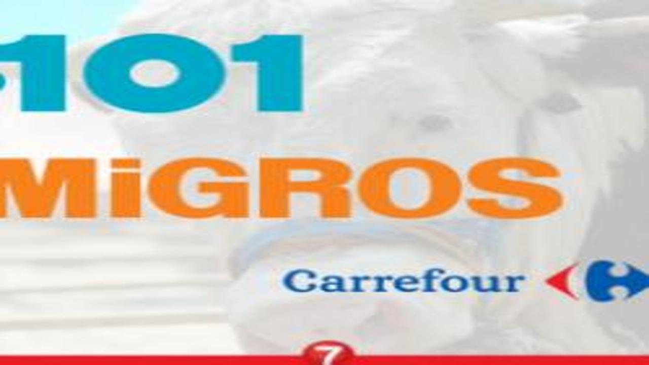 A101 Migros CarrefourSA 2024 Kurbanlık Fiyatları Ne Kadar Küçükbaş ve