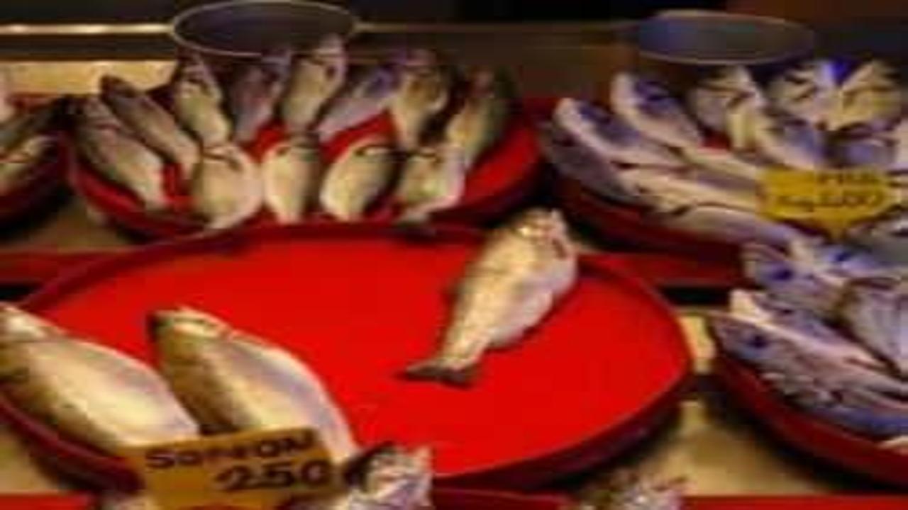 Balıkçıların gözü bu sezon hamside