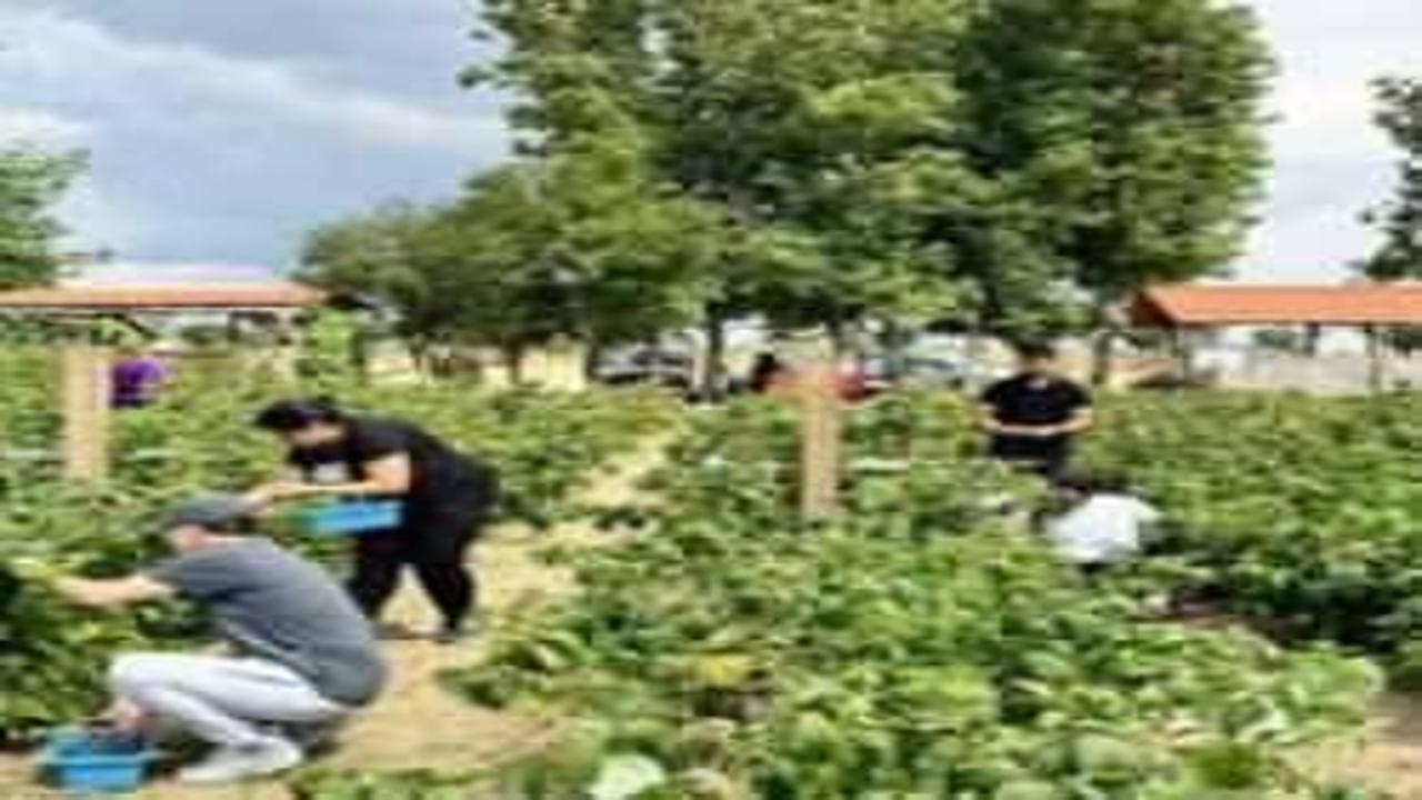 Kurduğu meyve bahçesiyle hem kendi hem mahalleli iş sahibi oldu