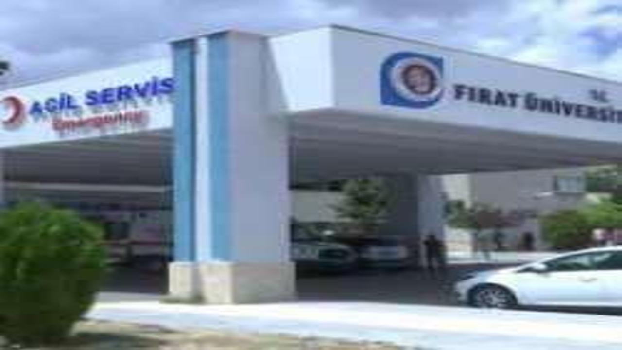 Kaçan eşeğin yuları boynuna dolandı! 7 yaşındaki Meryem feci şekilde can verdi