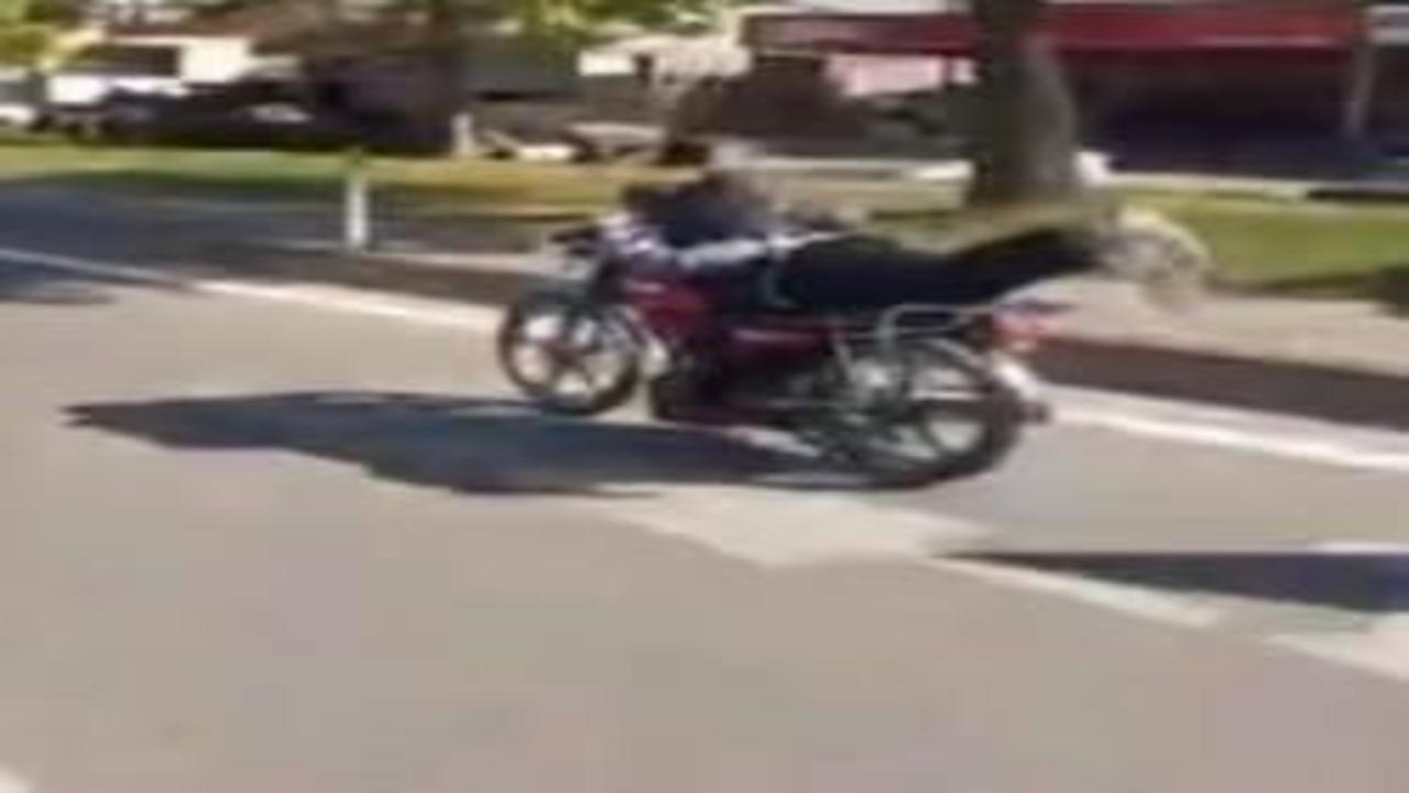 Maganda trafiği altüst etti! İhlal etmediği kural yok gibi...