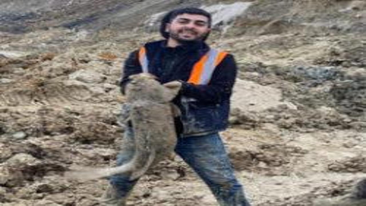 İBB’nin döküm sahası yaptığı Mavi Göl’deki balıklar can çekişiyor