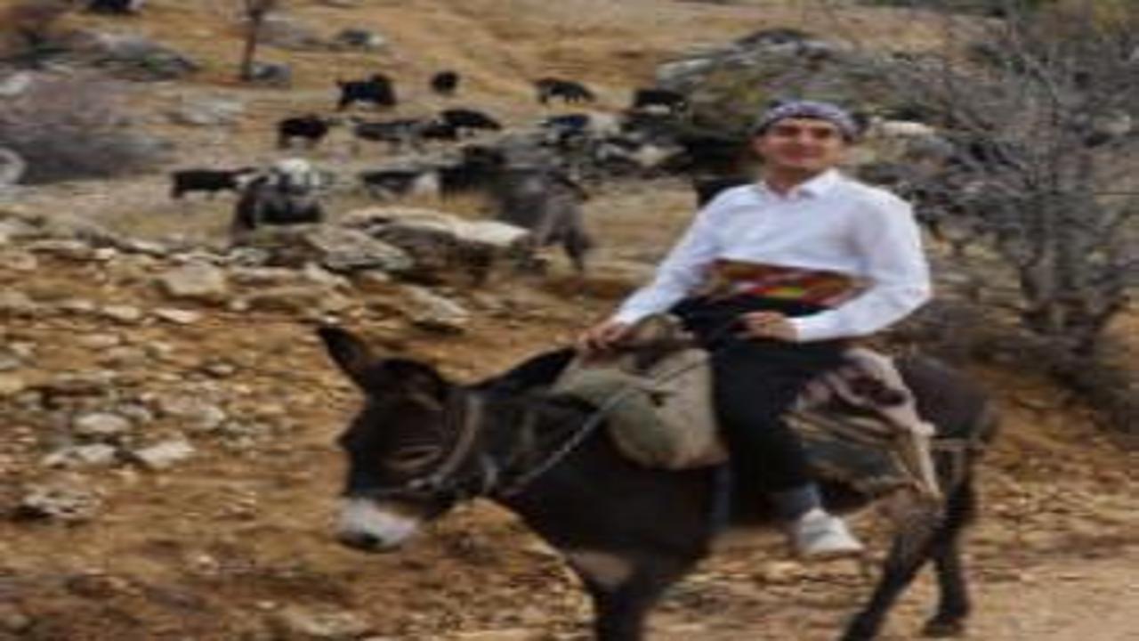 Söylediği manilerle dikkat çeken Yusuf: "Ne örecen elin vilayetini sarayını"