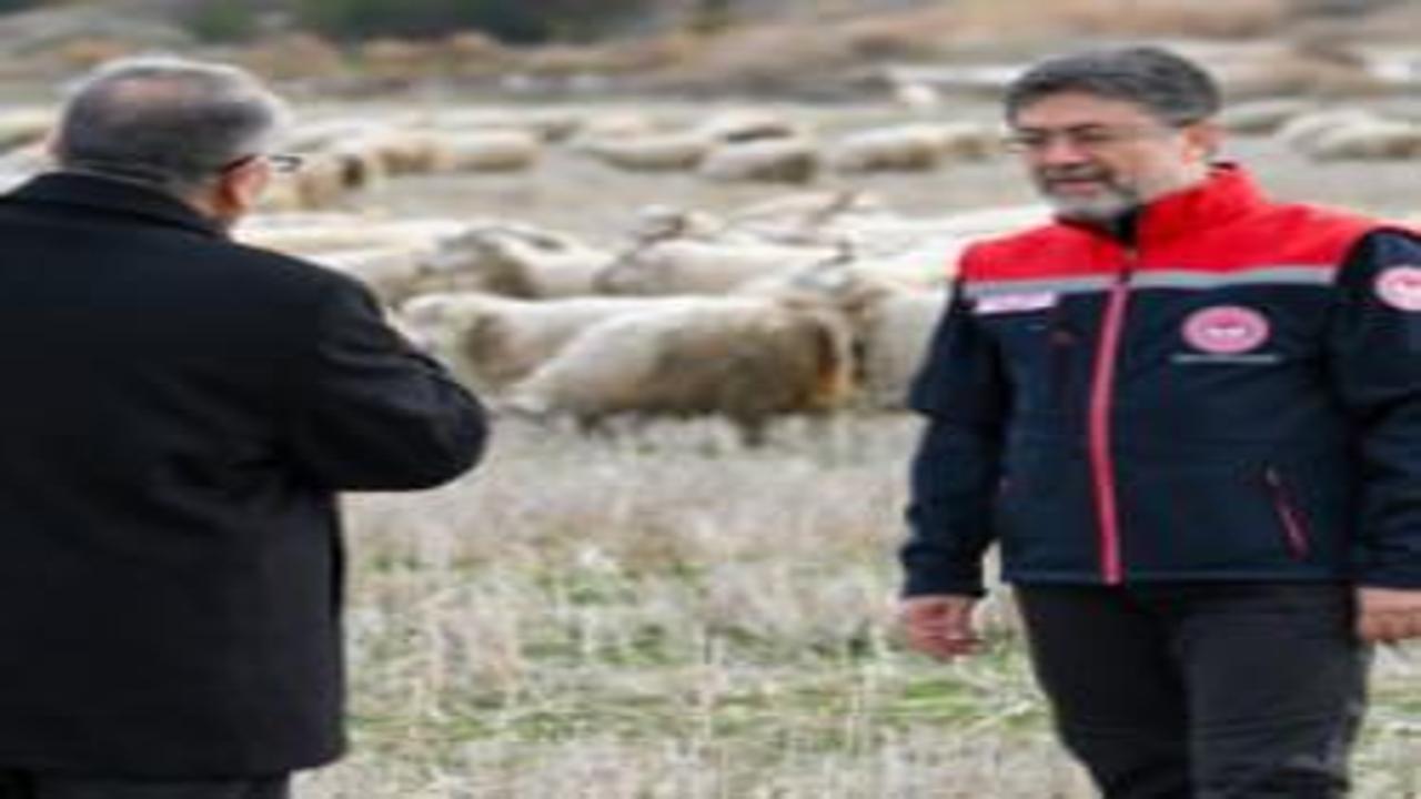 Tiftik için yeni dönem: Özel destek geliyor