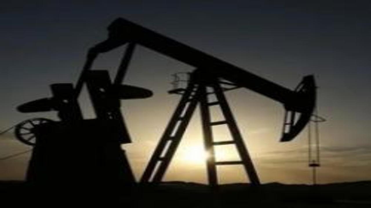 TPAO'nun4 petrol arama ruhsatına süre uzatımı