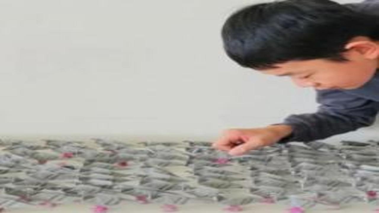 Kağıttan yaptı! '4 bin fil taşıyan bir taksiye' denk!