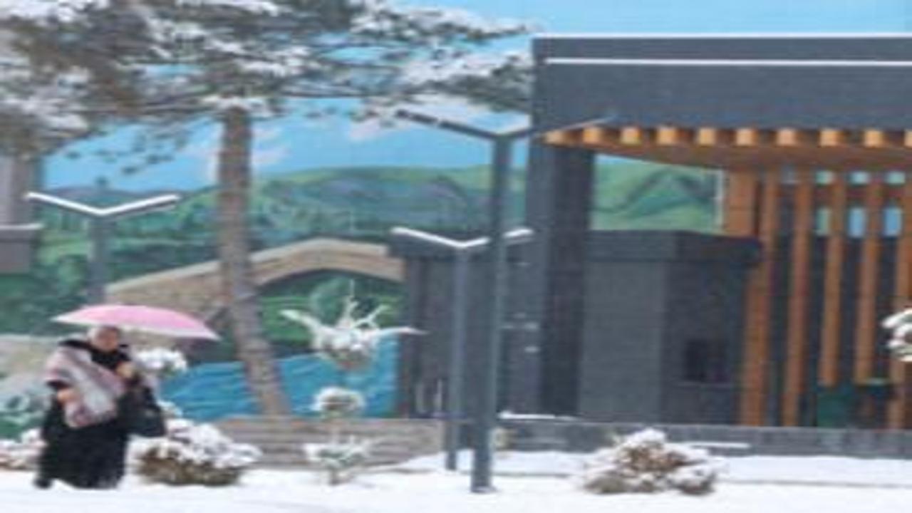 Van'da 90 yerleşim yeri ulaşıma kapanırken 2 ilçede okullar tatil edildi