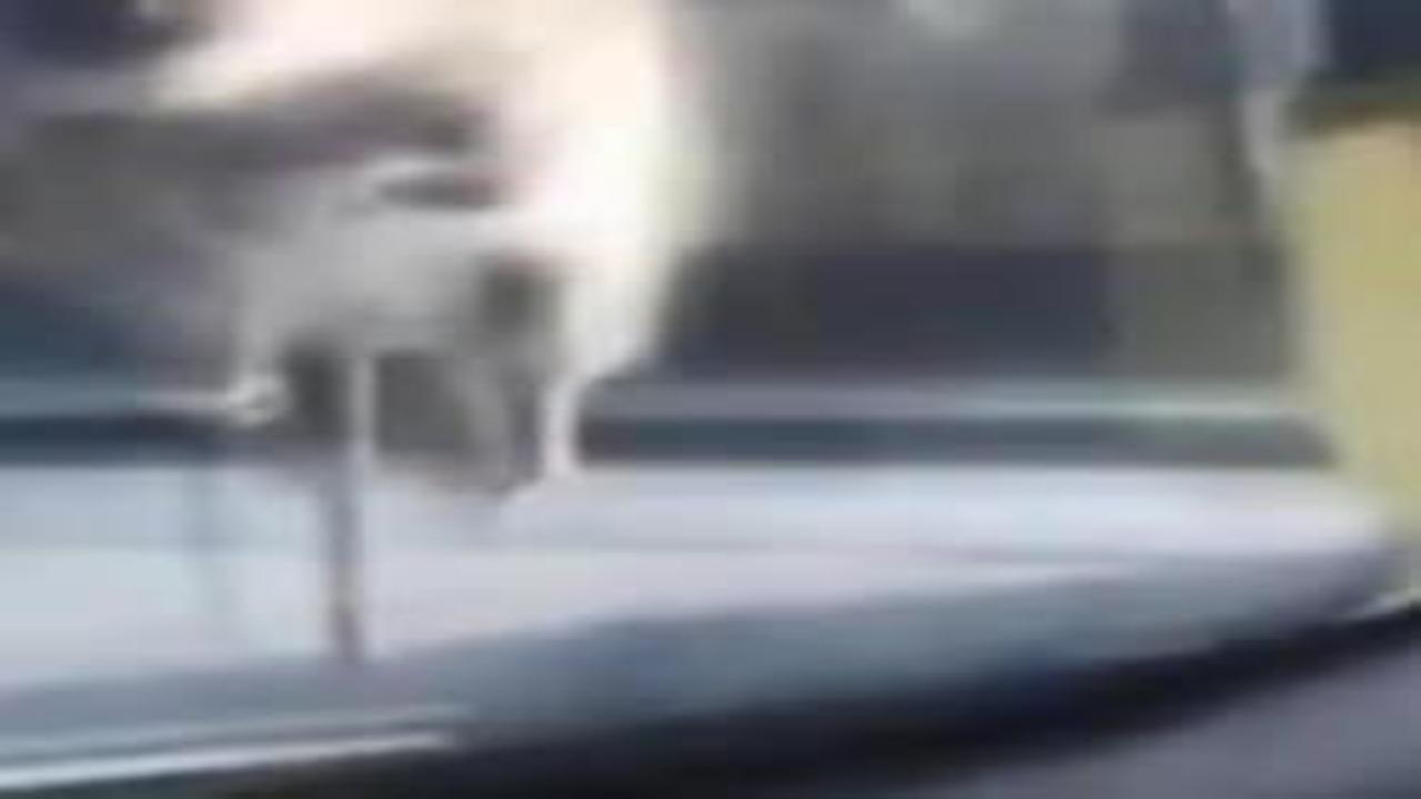 Başakşehir'de yolda ilerleyen araca fare atladı; sürücü polis çevirmesine girince kaçtı