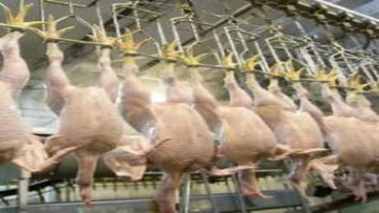 SON DAKİKA: Tavuk ihracatı durduruldu!