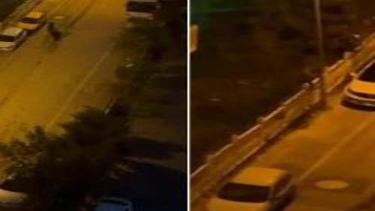 Adana’da korku dolu dakikalar! İki grubun pompalı tüfekle kavgası kamerada