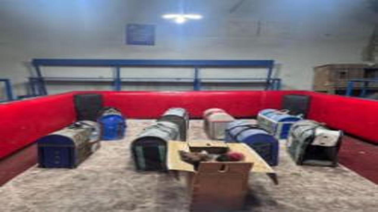 Adana'da temizlik işçisi kılığına giren polisten suçüstü! 'Horozlar korkup ringe...'