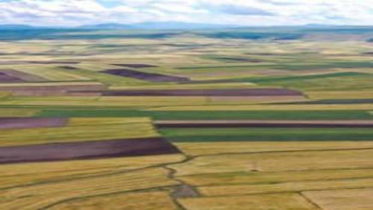 Arsa ve tarla satışları 2025'te 1,6 milyonu aştı