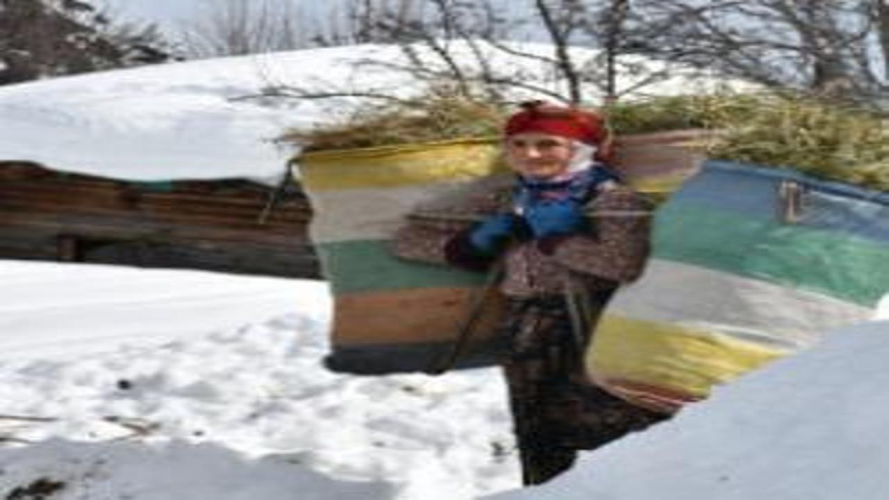 Artvin’de kış masalı: Şavşat Maden Köyü’nde karlar altında foto safari