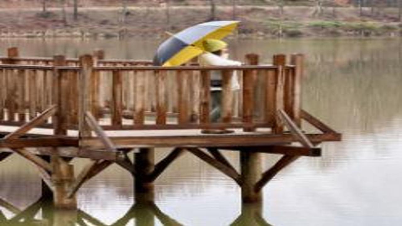 Düzce’de doğaseverlerin yeni gözdesi: Korugöl Tabiat Parkı