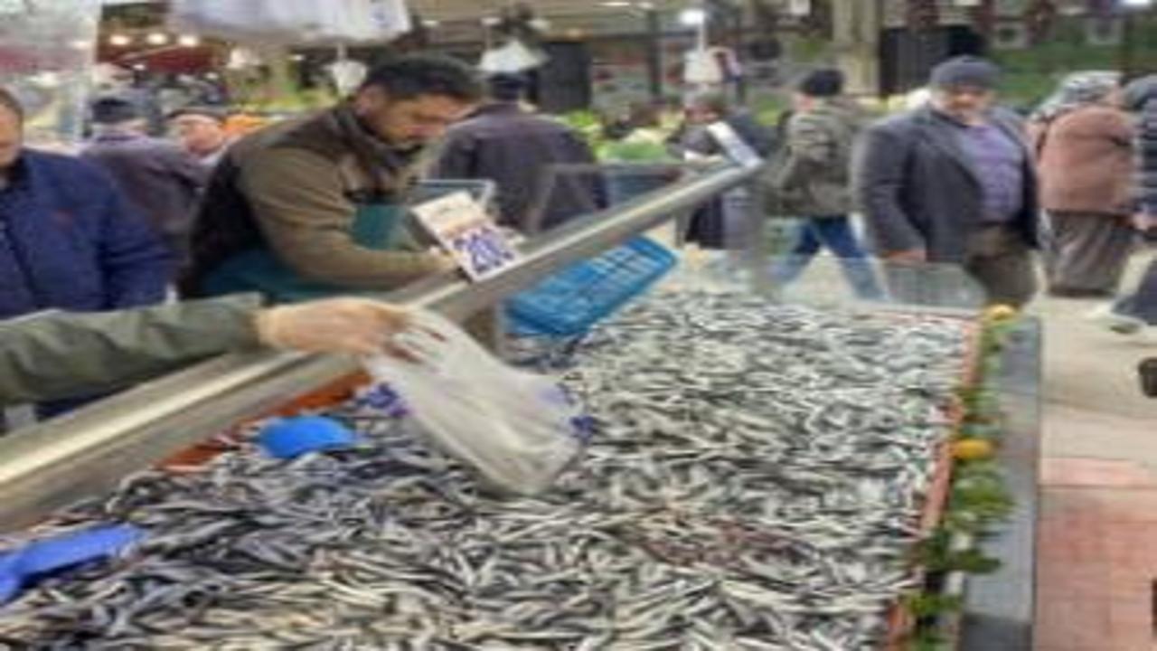 Hamsi bolluğu sürüyor: Kilosu 200 lira