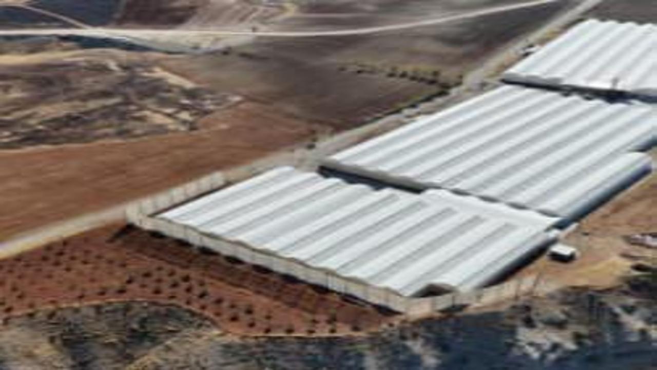 Kazançsız araziye ekti, aldığı riskle bayram etti