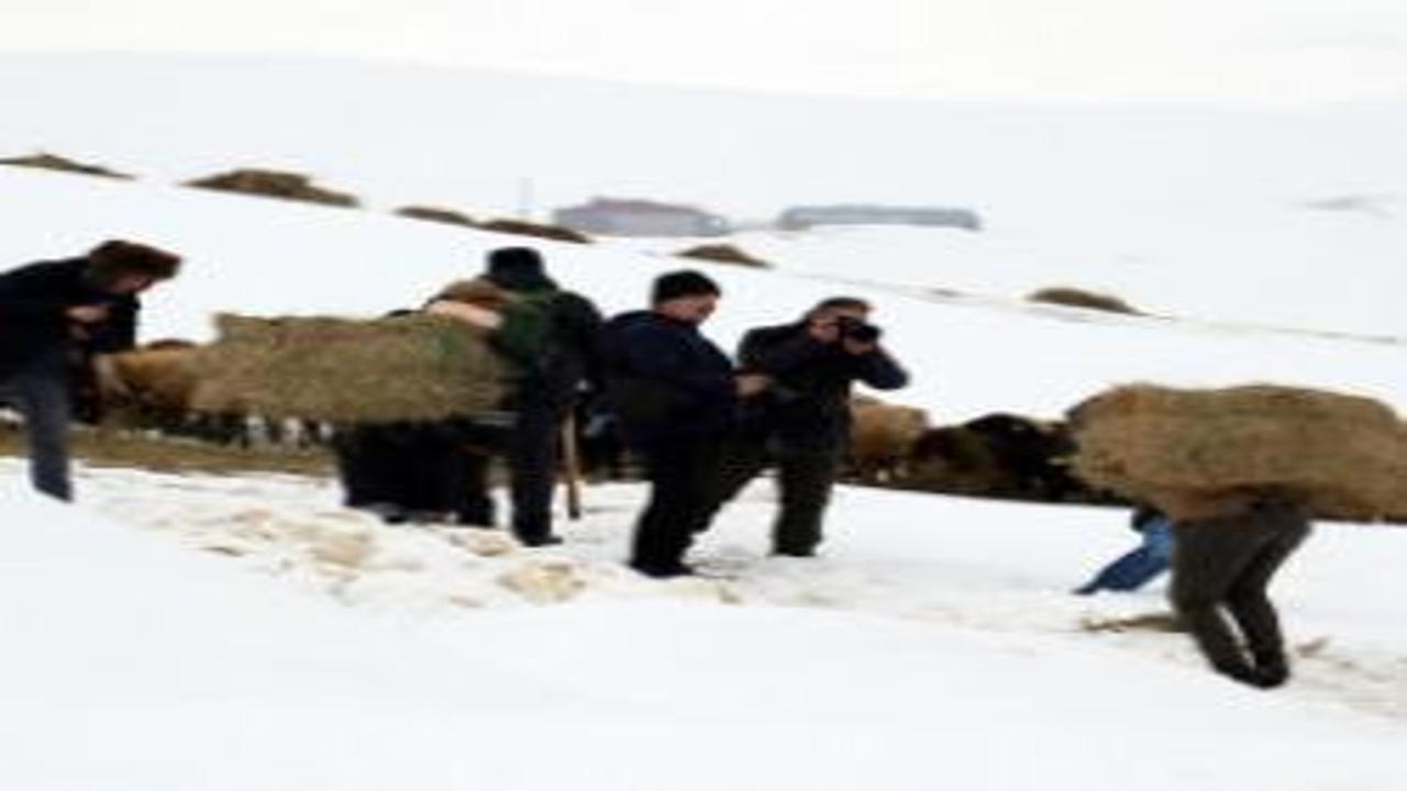 Tarih ve doğa karla kaplandı: Fotoğraf tutkunları akın etti