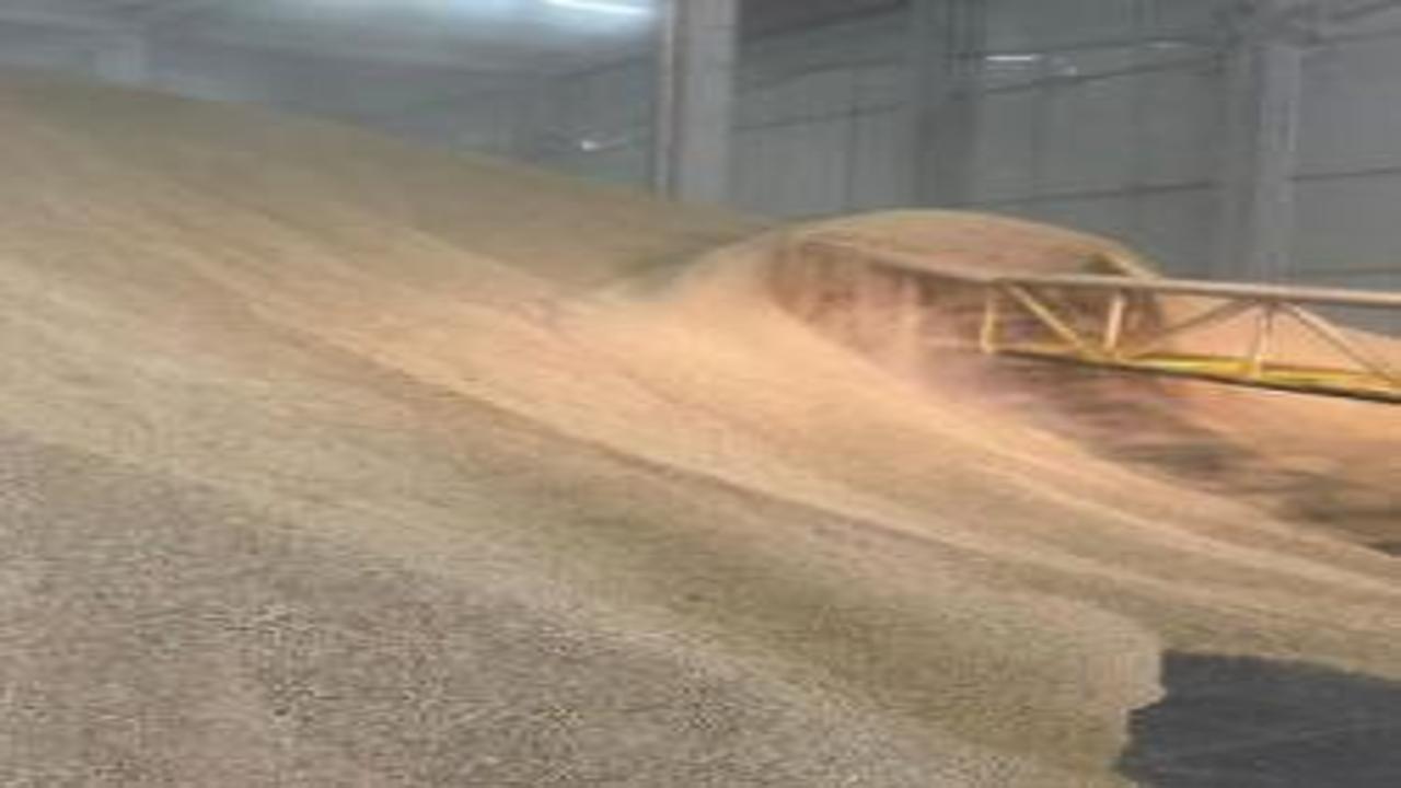 TMO, stoklarındaki buğdayı satışa sundu