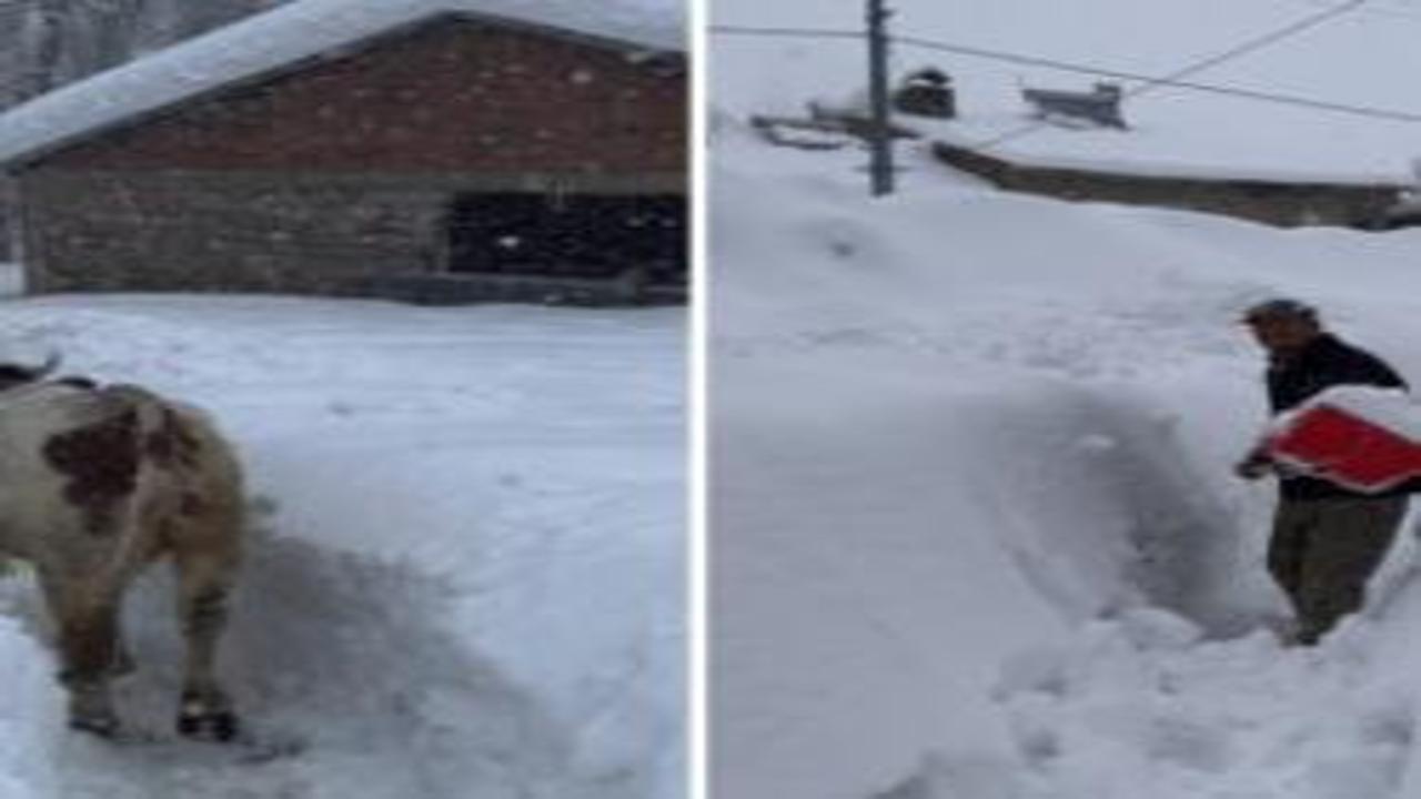 Karların altında kaybolan köy! Tunceli'de sıradışı anlar