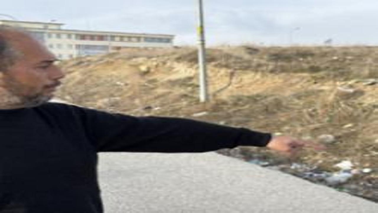 Kütahya'da başıboş köpek dehşeti: Bir çocuk yaralandı