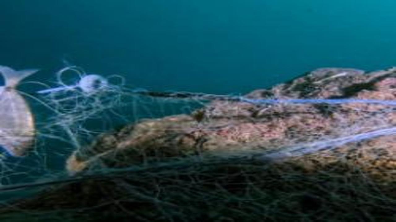 Mavi İz projesiyle deniz kirliliğine sanat dokunuşu