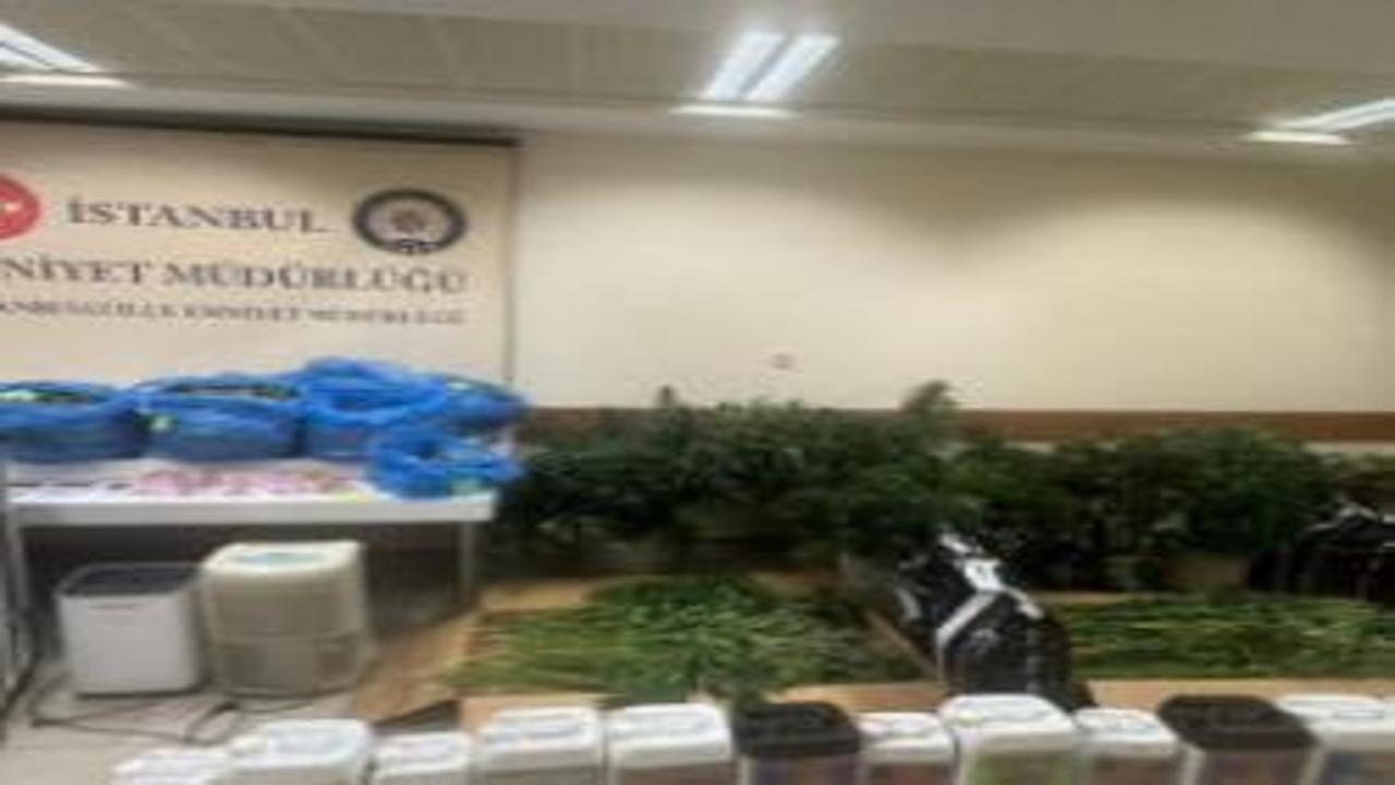 Sultanbeyli’de zehir dairesine baskın: Evin içine kenevir serası kurmuşlar!