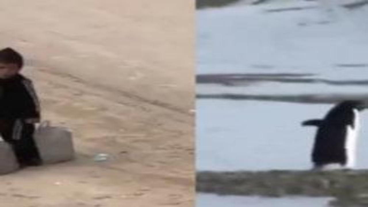 Gazze'de çocuk olmak... Bir penguen kadar konuşulmayacak